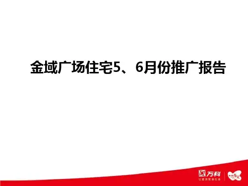 万科五六营销报告