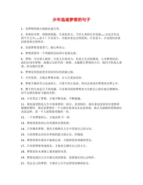 少年追逐梦想的句子