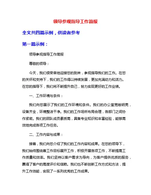 领导参观指导工作简报