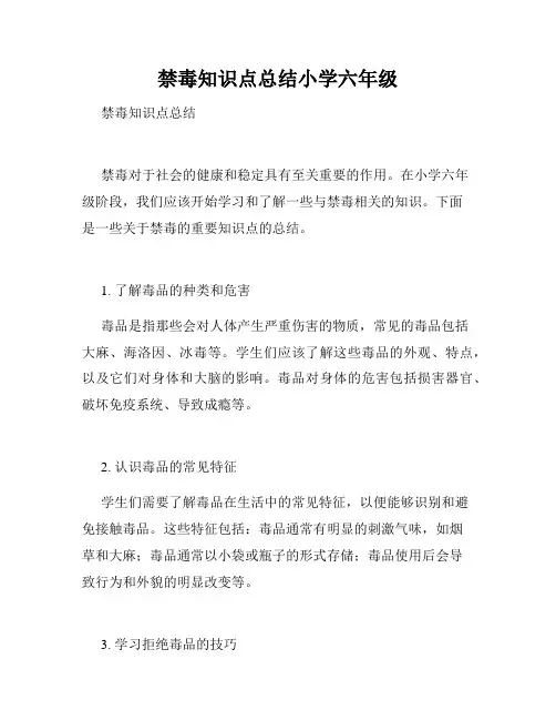 禁毒知识点总结小学六年级