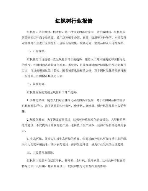 红枫树行业报告