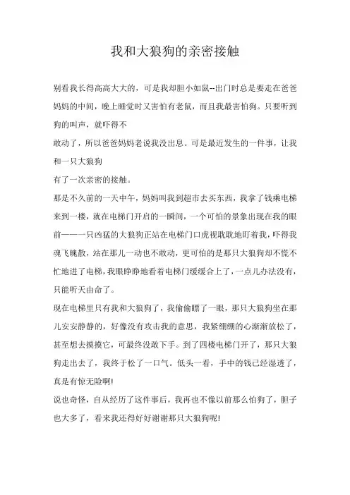 五年级叙事我和大狼狗的亲密接触