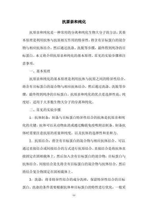 抗原亲和纯化