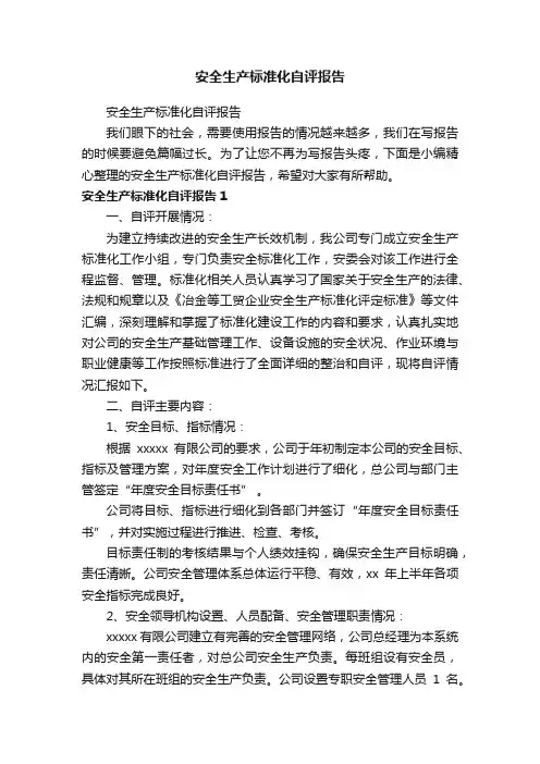 安全生产标准化自评报告