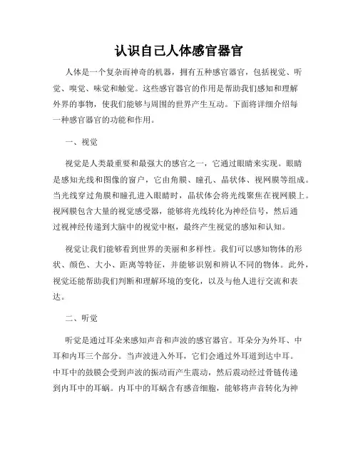 认识自己人体感官器官