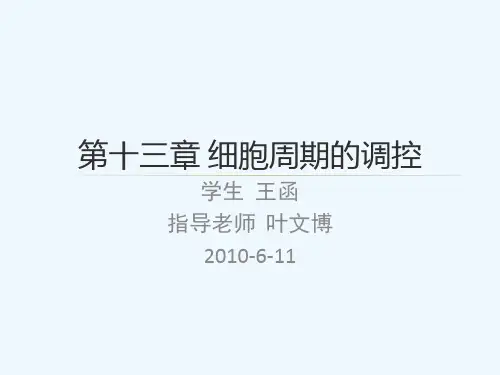 细胞周期的调控.pptx