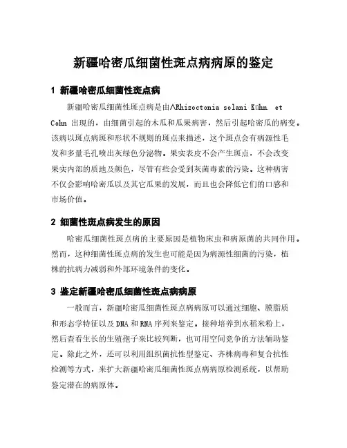 新疆哈密瓜细菌性斑点病病原的鉴定