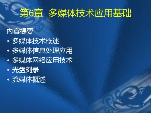 第6章 多媒体技术应用基础PPT课件
