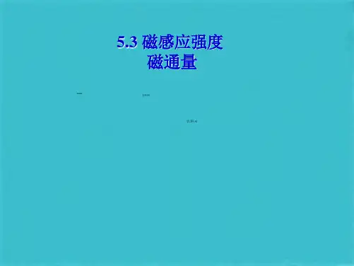 磁感应强度磁通量(共20张PPT)