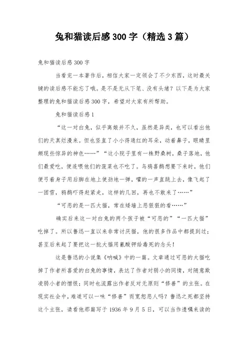 兔和猫读后感300字(精选3篇)