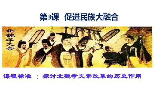 第3课 促进民族大融合 高中历史人教版选修1