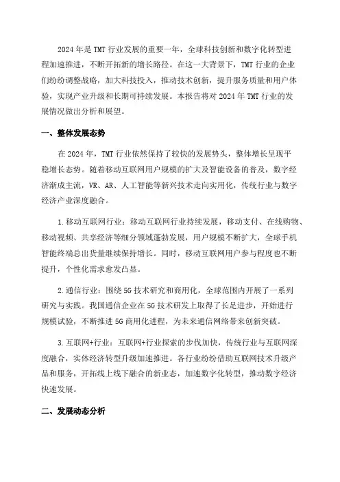 2024年TMT行业分析报告