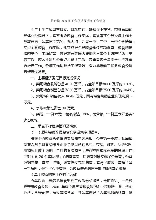 粮食局2020年工作总结及明年工作计划_工作总结范文_