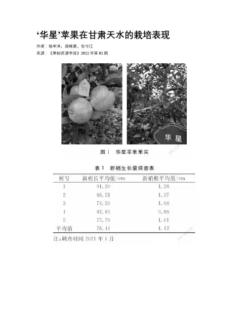 ‘华星’苹果在甘肃天水的栽培表现