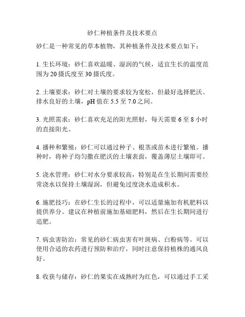 砂仁种植条件及技术要点