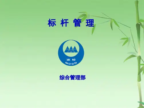 公司标杆管理(共30张PPT)