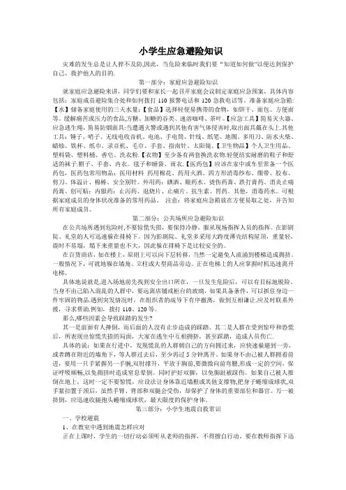 小学生安全教育-应急避险知识