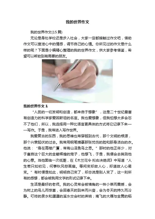 我的世界作文