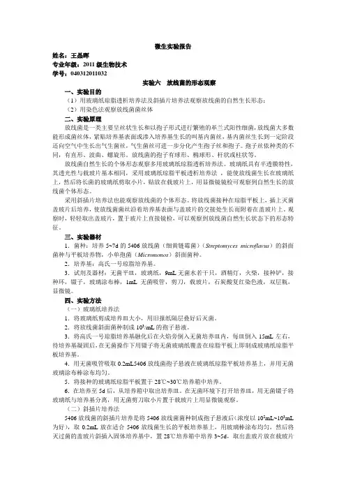 微生实验报告 2012.10.24  实验三  放线菌的形态观察