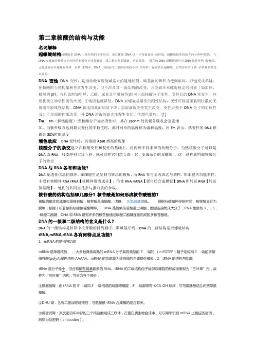 第二章核酸的结构与功能