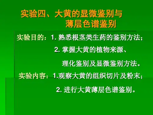 实验大黄的薄层色谱鉴别与显微鉴别