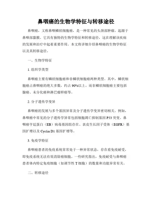 鼻咽癌的生物学特征与转移途径