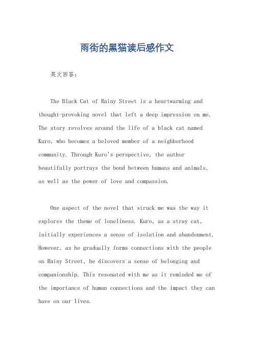 雨街的黑猫读后感作文