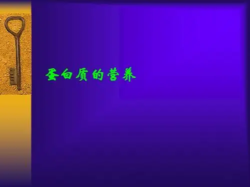 蛋白质的营养1