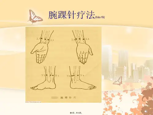 8腕踝针-针灸新型技术教学PPT课件(共12张)
