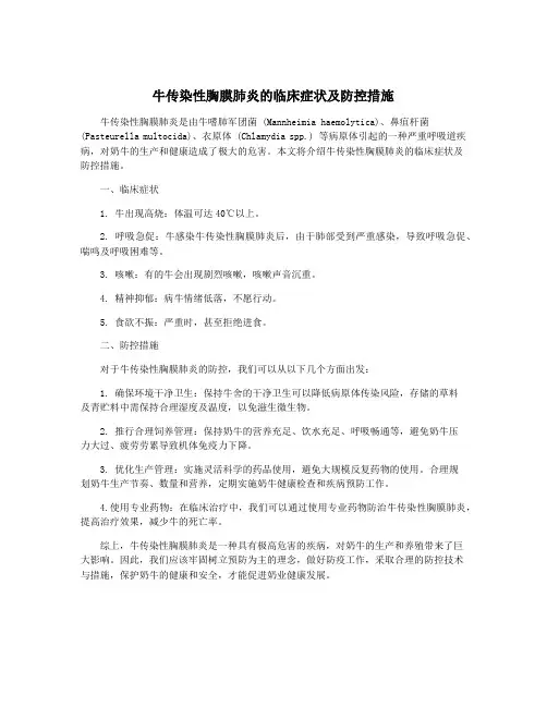 牛传染性胸膜肺炎的临床症状及防控措施
