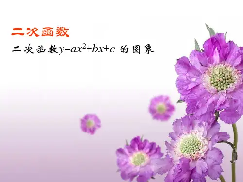 人教版九年级上册2二次函数的图象和性质课件