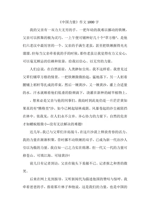 《中国力量》作文1000字