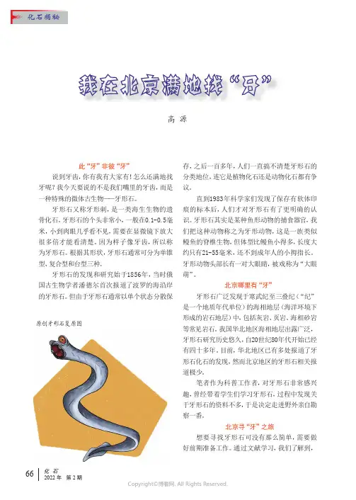 我在北京满地找“牙”