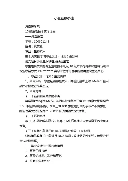 小鼠胚胎移植