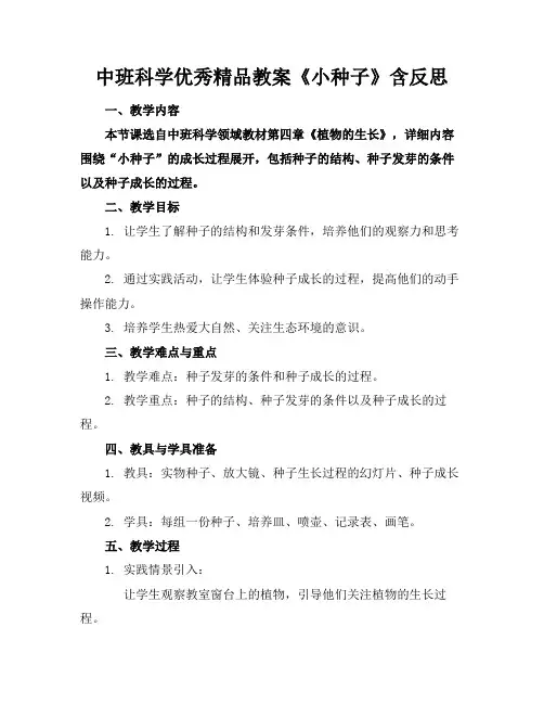 中班科学优秀精品教案《小种子》含反思