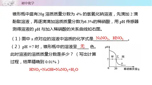 人教版初中化学九年级下册 典题精讲系列10.2中和反应的pH图象(课件)