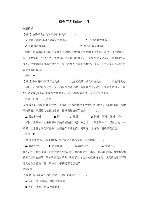 中考专题绿色开花植物的一生