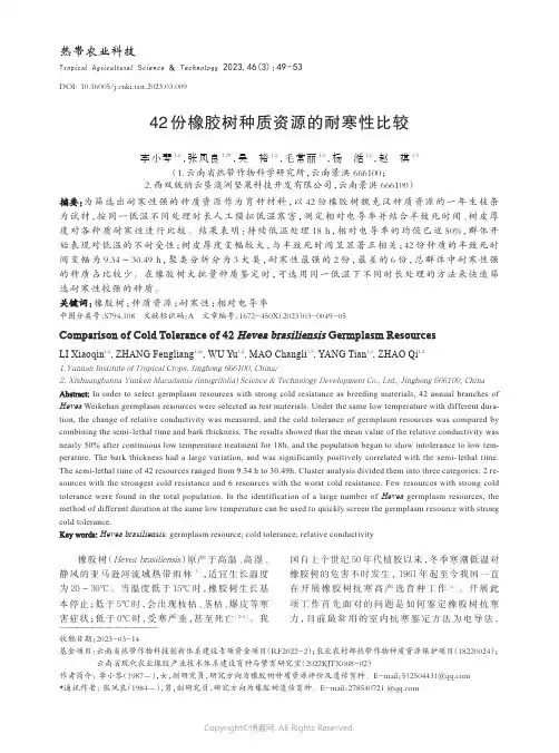 42份橡胶树种质资源的耐寒性比较