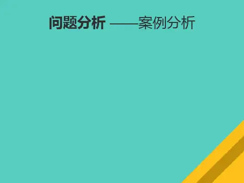 企业经典案例分析(ppt 17页)