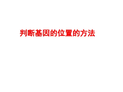判断基因的位置的方法