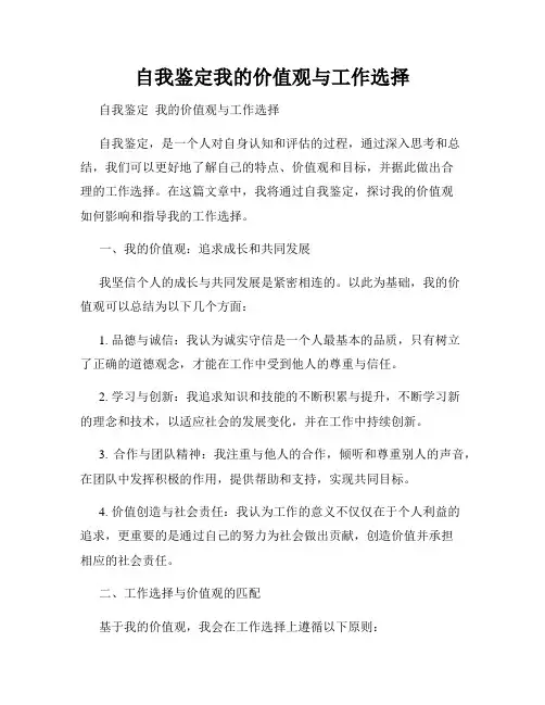 自我鉴定我的价值观与工作选择