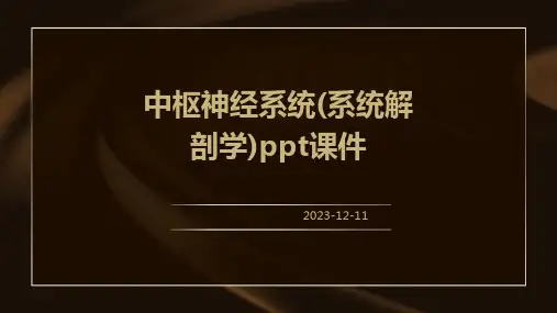 中枢神经系统(系统解剖学)课件