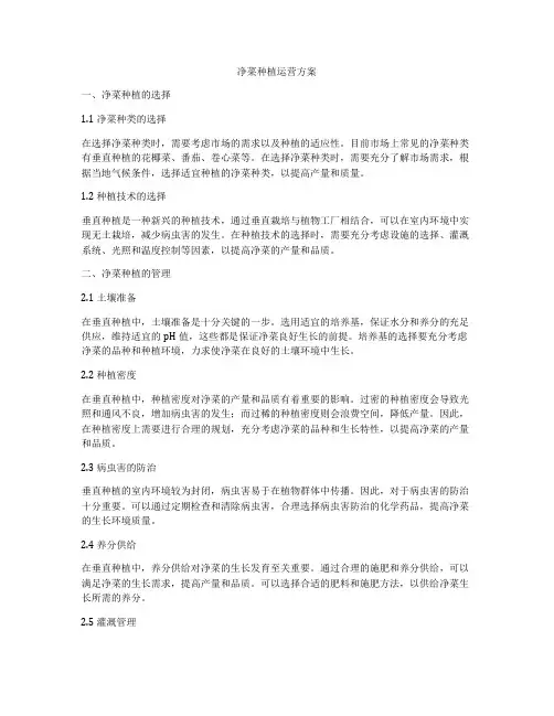 净菜种植运营方案
