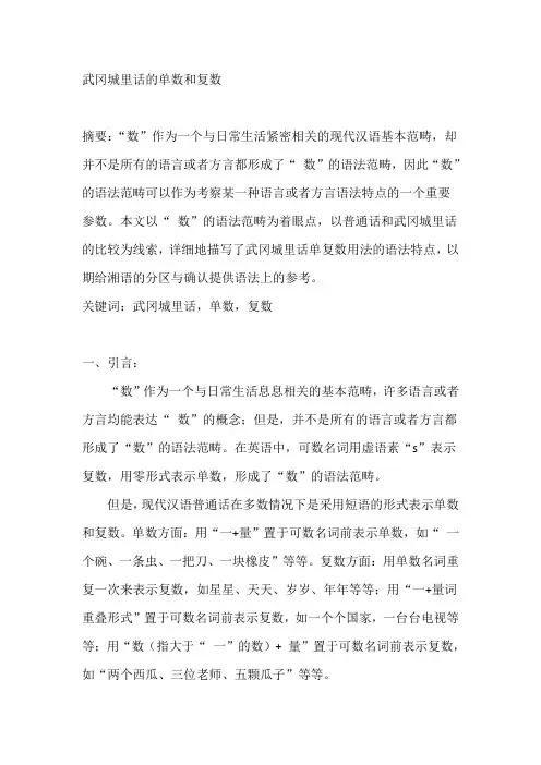 武冈城里话的单数和复数