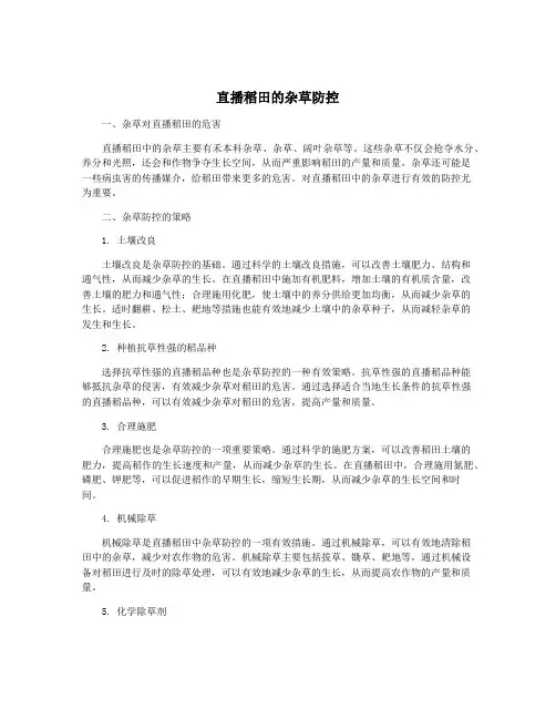 直播稻田的杂草防控