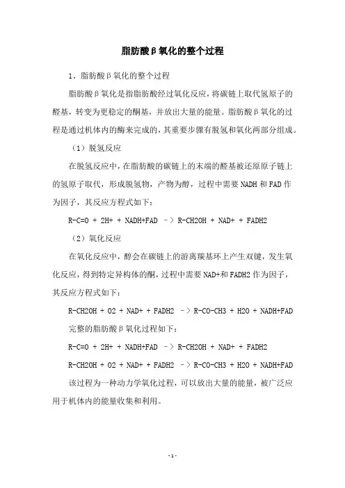 脂肪酸β氧化的整个过程