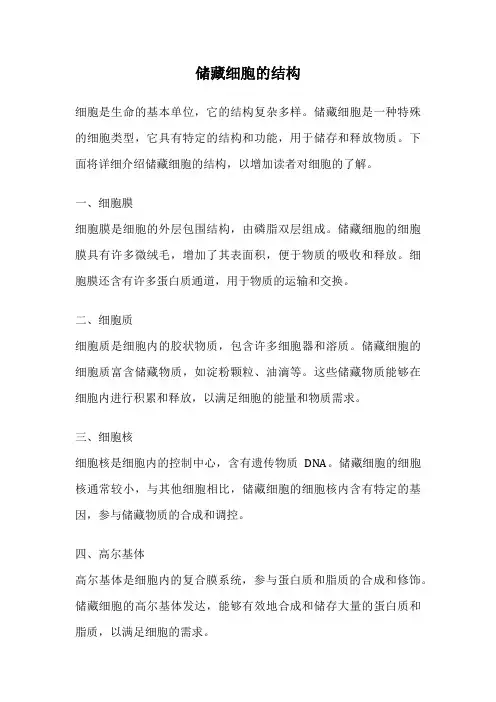 储藏细胞的结构
