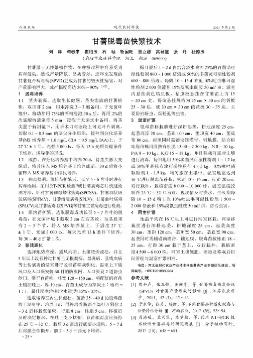 甘薯脱毒苗快繁技术