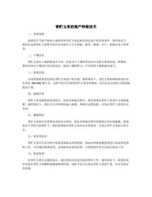 青贮玉米的高产种植技术