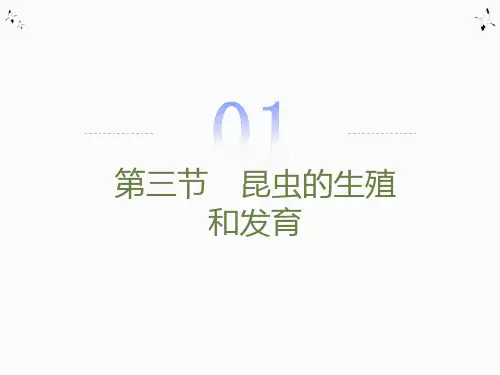 昆虫的生殖和发育